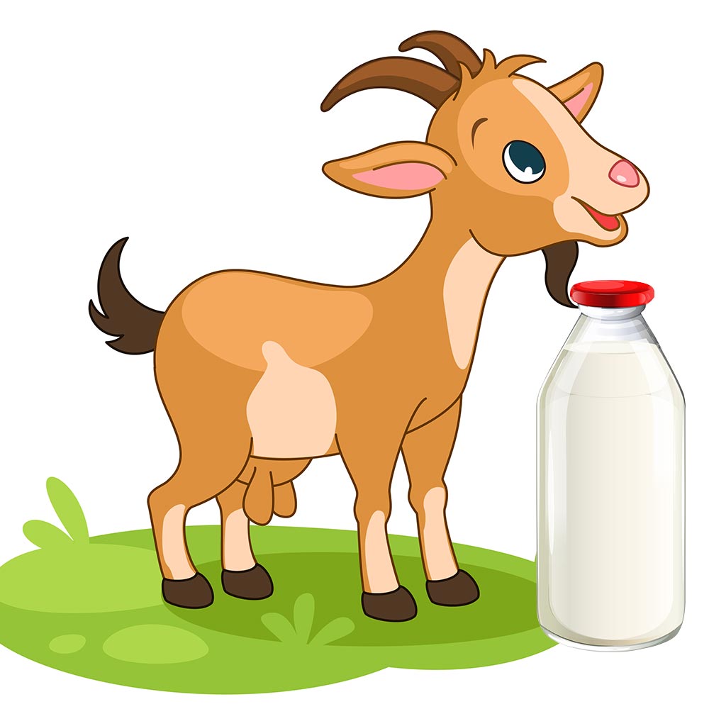 Beneficiile pentru sanatate ale laptelui de capra