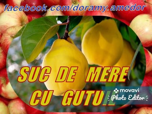 Suc de mere cu gutuie